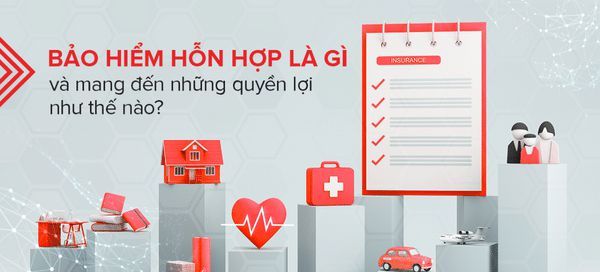 Bảo hiểm nhân thọ hỗn hợp