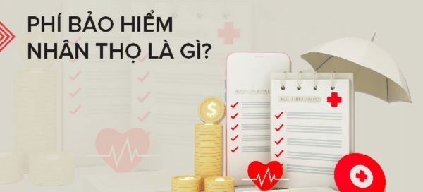Những chi phí Bảo hiểm nhân thọ mà bạn cần biết