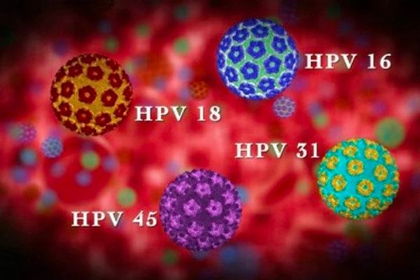 Virus HPV một trong những nguyên nhân tạo nên căng bệnh ung thư cổ tử cung