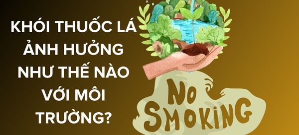 Sự nguy hiểm "báo động" từ khói thuốc lá ảnh hưởng đến môi trường sống như thế nào?